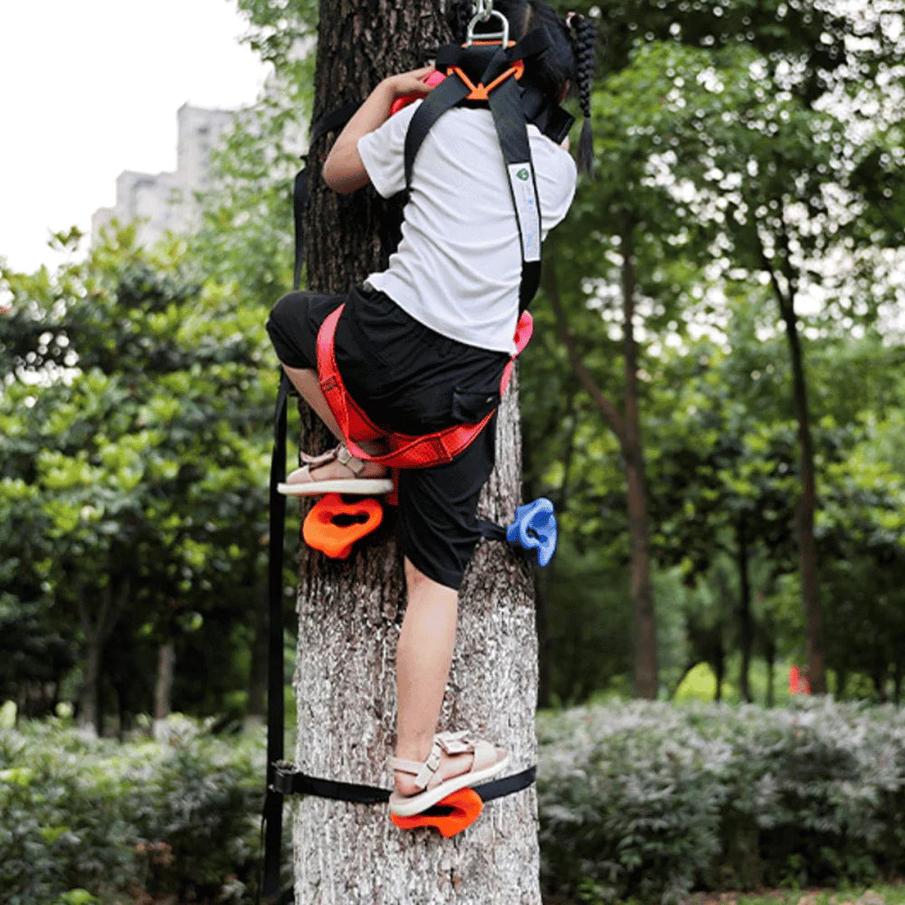 Kids Backyard Rockclimbing Kit