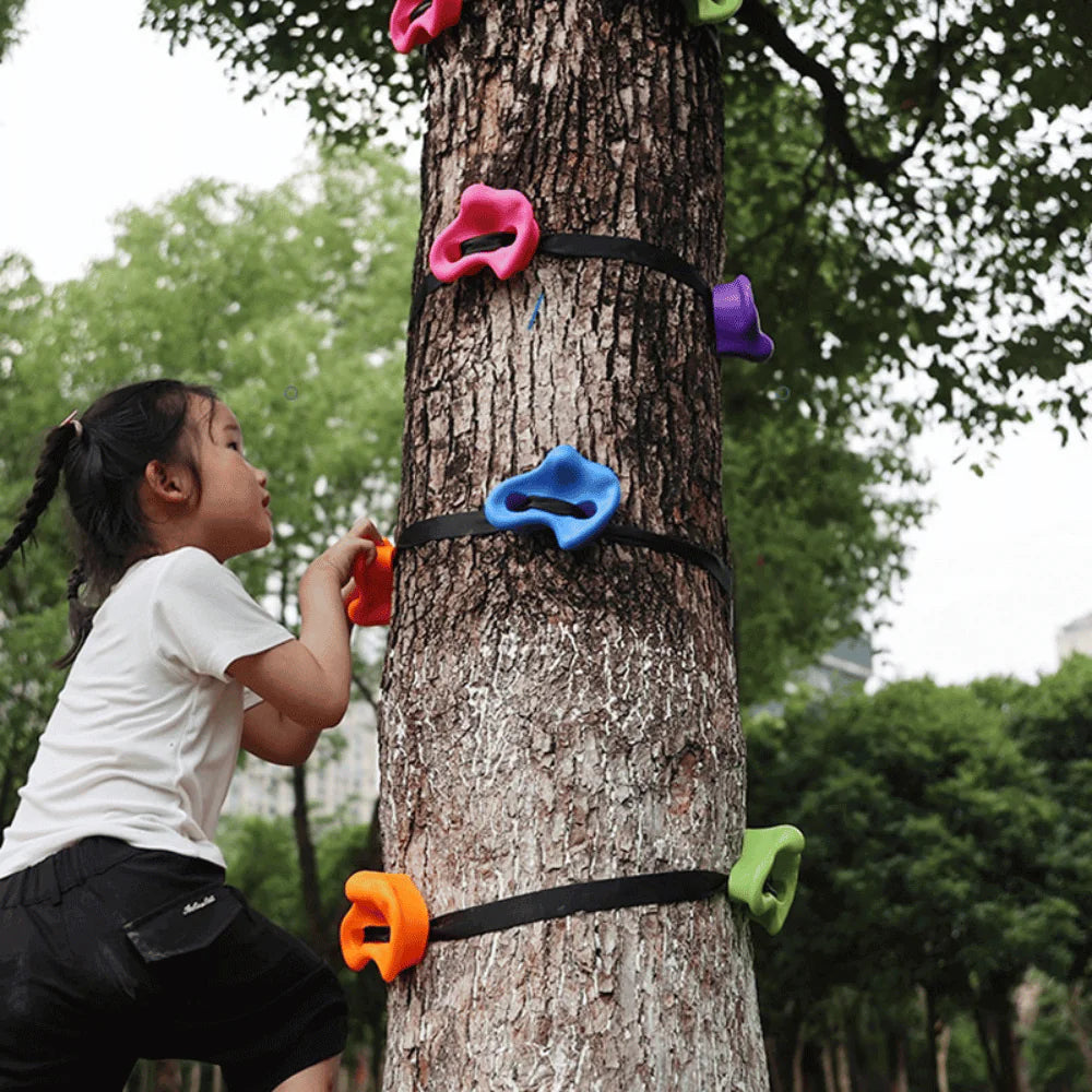 Kids Backyard Rockclimbing Kit